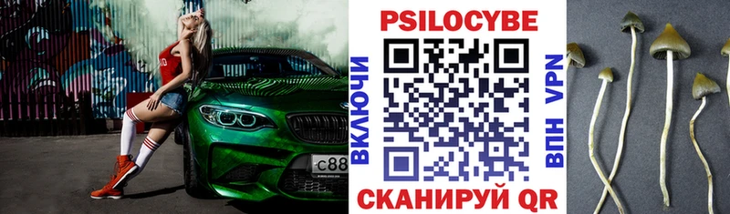 Галлюциногенные грибы MAGIC MUSHROOMS  Купить где  Белинский 